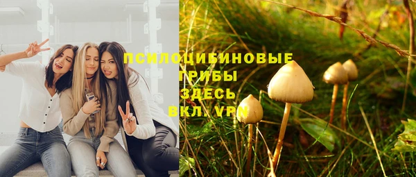 первитин Балахна