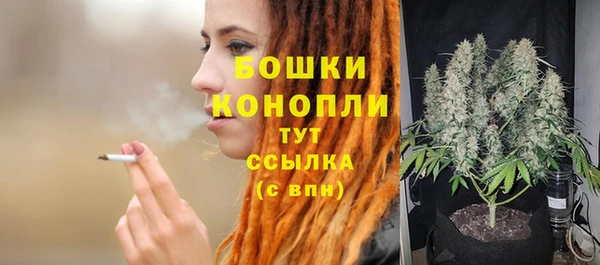 PSILOCYBIN Баксан